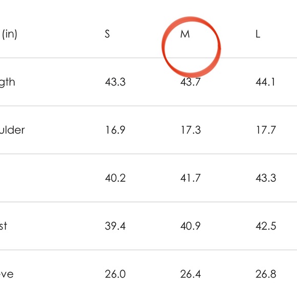 🔥RARE🔥NWT🏷️✨ATHINA RUFFLE SHOULDER PUFF SLEEVE LONG TRENCH COAT🤩SZ M & 1X‼️ - Picture 6 of 6